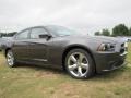 Granite Crystal Metallic - Charger SE Photo No. 4