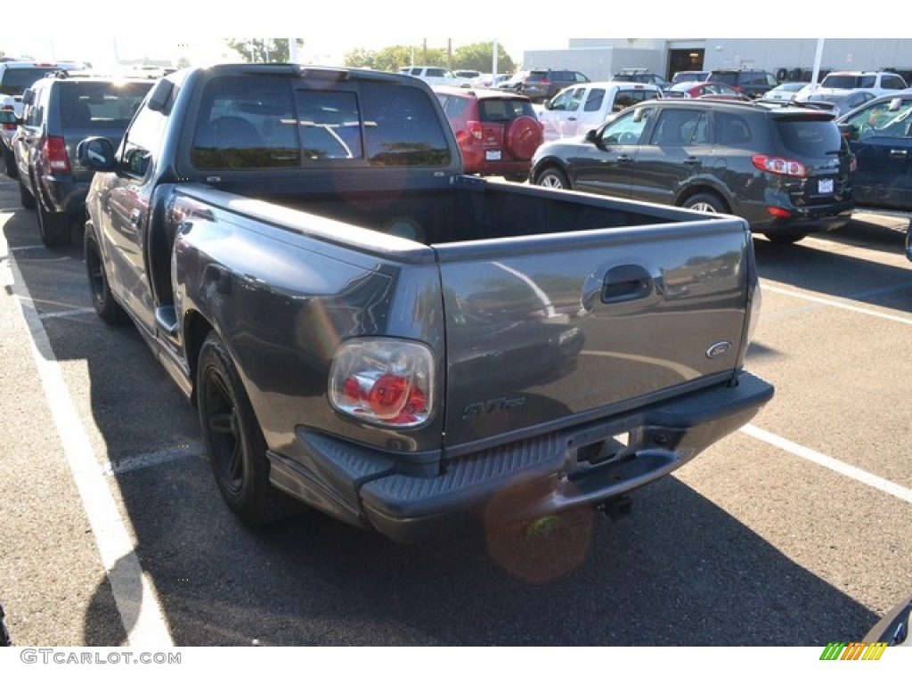 2004 F150 SVT Lightning - Dark Shadow Grey Metallic / SVT Black/Light Flint photo #3