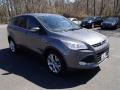 2013 Ingot Silver Metallic Ford Escape SEL 1.6L EcoBoost  photo #3