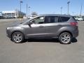 2013 Ingot Silver Metallic Ford Escape SEL 1.6L EcoBoost  photo #6