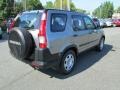 2006 Alabaster Silver Metallic Honda CR-V LX 4WD  photo #6