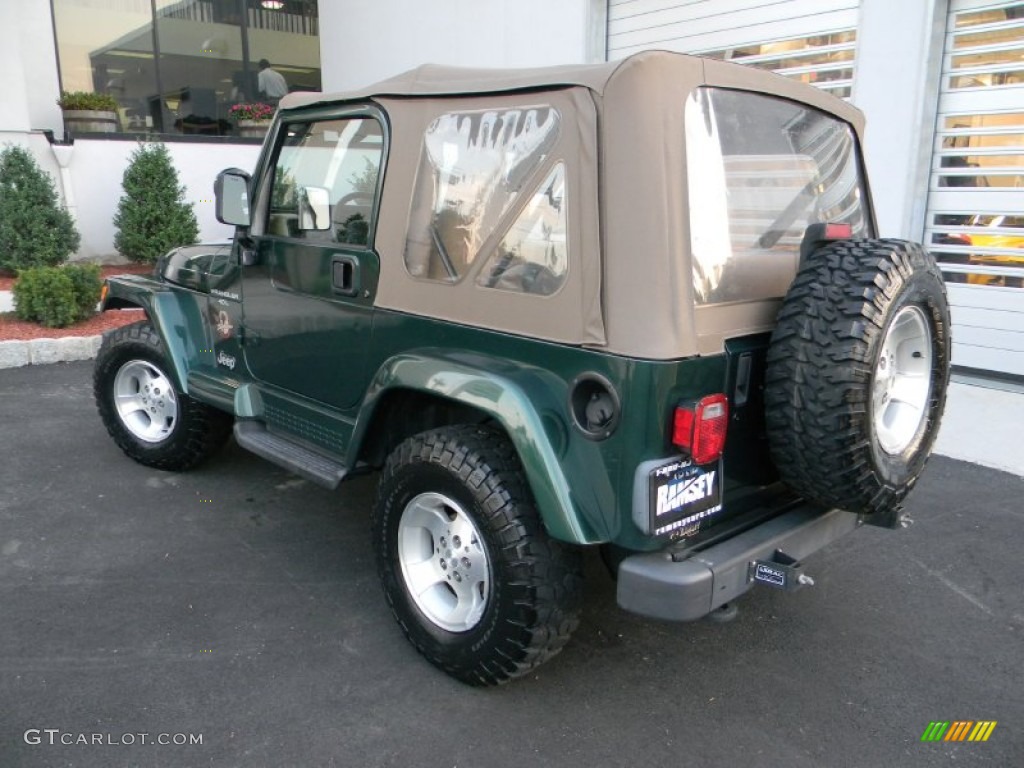 2000 Wrangler Sahara 4x4 - Forest Green Pearl / Camel/Dark Green photo #7