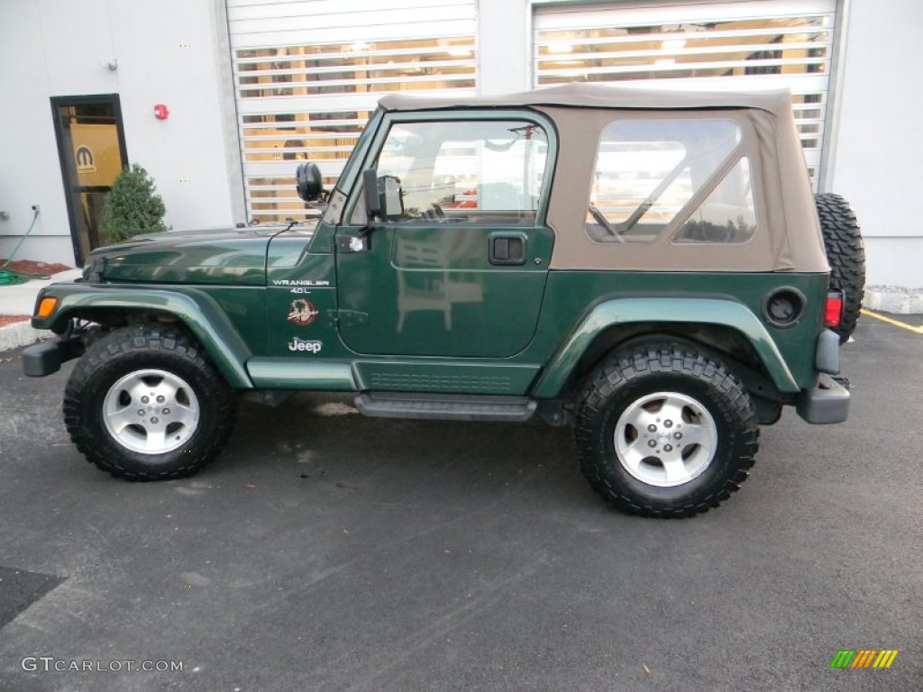 2000 Wrangler Sahara 4x4 - Forest Green Pearl / Camel/Dark Green photo #8