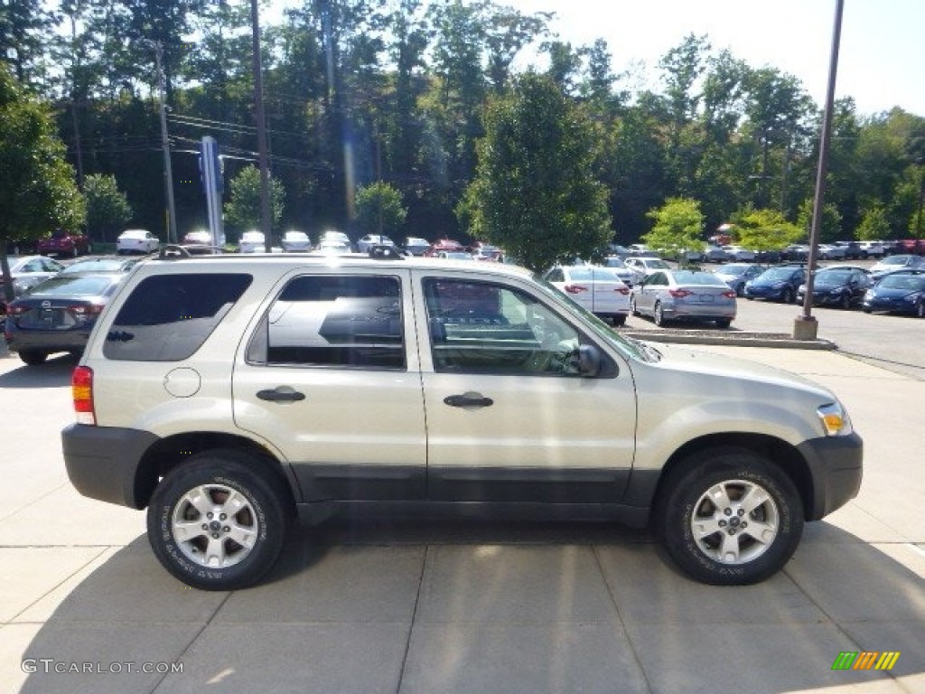 2006 Escape XLT V6 4WD - Gold Ash Metallic / Medium/Dark Pebble photo #1