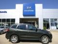 2012 Black Forest Green Hyundai Santa Fe SE V6 AWD  photo #1