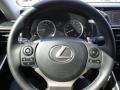 2014 Nebula Gray Pearl Lexus IS 250 AWD  photo #14