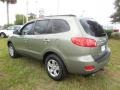 2009 Natural Khaki Hyundai Santa Fe GLS  photo #3