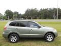 2009 Natural Khaki Hyundai Santa Fe GLS  photo #10