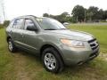 2009 Natural Khaki Hyundai Santa Fe GLS  photo #11