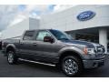 2014 Sterling Grey Ford F150 XLT SuperCrew  photo #1