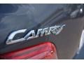 Magnetic Gray Metallic - Camry LE Photo No. 23