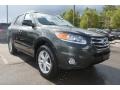 2012 Black Forest Green Hyundai Santa Fe SE V6  photo #1