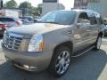 2007 Radiant Bronze Cadillac Escalade AWD  photo #2