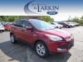 2014 Ruby Red Ford Escape SE 2.0L EcoBoost 4WD  photo #1