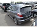 Polished Metal Metallic - Fit Sport Photo No. 3