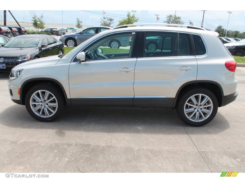 White Gold Metallic 2015 Volkswagen Tiguan SE Exterior Photo #97044726