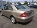 Desert Silver Metallic - C 240 4Matic Sedan Photo No. 6