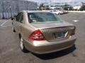 Desert Silver Metallic - C 240 4Matic Sedan Photo No. 7