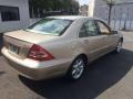 Desert Silver Metallic - C 240 4Matic Sedan Photo No. 9