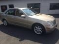 Desert Silver Metallic - C 240 4Matic Sedan Photo No. 12