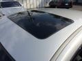 Liquid Silver Metallic - Maxima 3.5 SE Photo No. 14