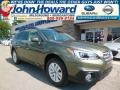 2015 Wilderness Green Metallic Subaru Outback 2.5i Premium  photo #1