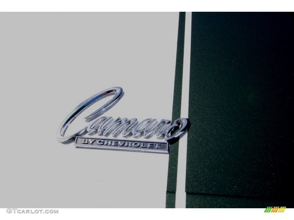 1969 Camaro Z28 Coupe - Fathom Green / Medium Green photo #28