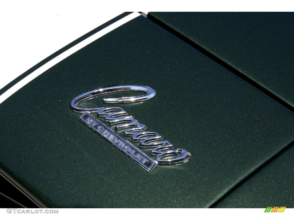 1969 Camaro Z28 Coupe - Fathom Green / Medium Green photo #31