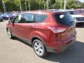 2014 Sunset Ford Escape S  photo #6