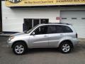 Titanium Metallic - RAV4 4WD Photo No. 20