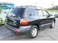 2004 Black Obsidian Hyundai Santa Fe   photo #3