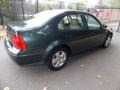 Alaska Green Metallic - Jetta GLS Sedan Photo No. 5