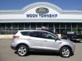 2013 Ingot Silver Metallic Ford Escape SE 2.0L EcoBoost 4WD  photo #1