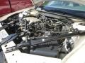 White - Impala  Photo No. 28