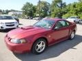 2004 40th Anniversary Crimson Red Metallic Ford Mustang V6 Coupe  photo #1