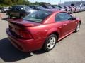 2004 40th Anniversary Crimson Red Metallic Ford Mustang V6 Coupe  photo #4