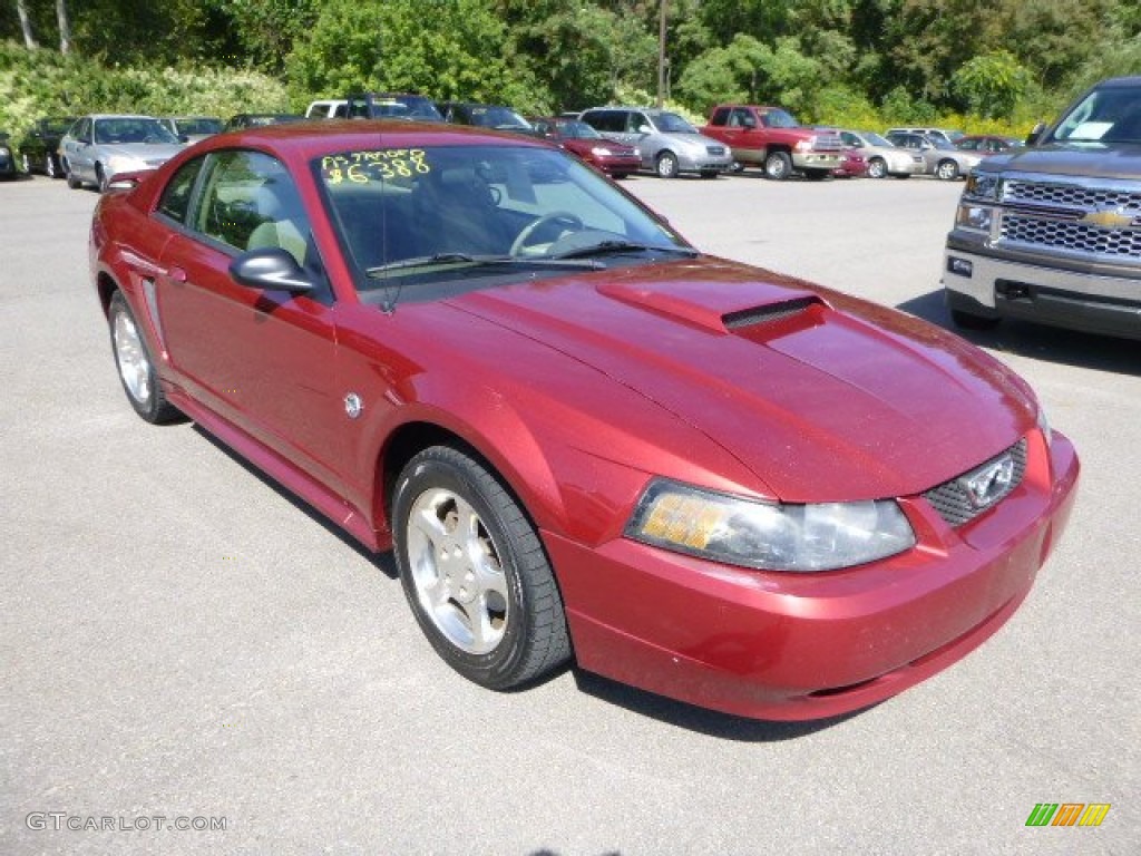 2004 Mustang V6 Coupe - 40th Anniversary Crimson Red Metallic / Medium Parchment photo #5