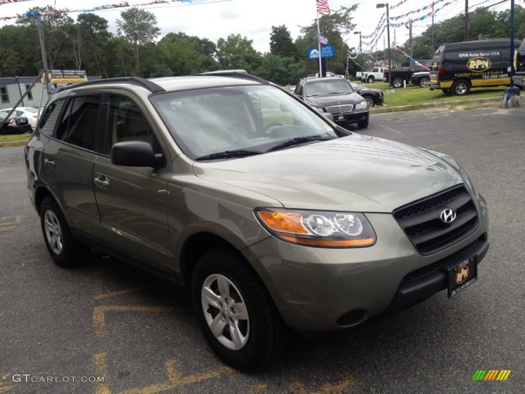 2009 Santa Fe GLS - Natural Khaki / Beige photo #5