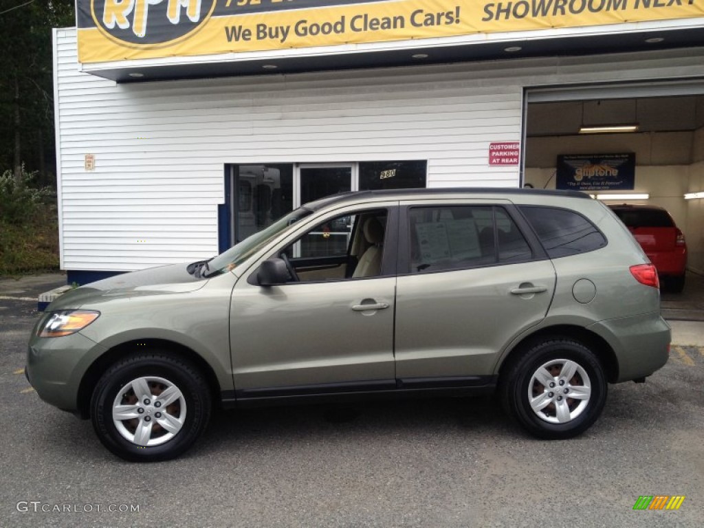 2009 Santa Fe GLS - Natural Khaki / Beige photo #19