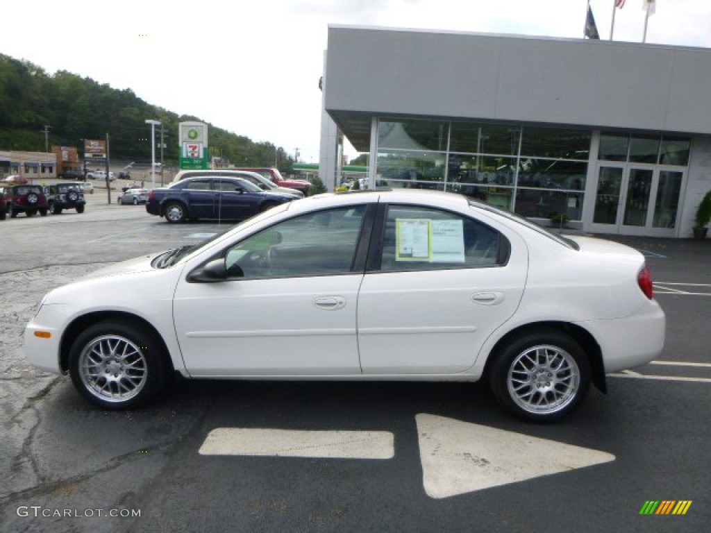 2004 Neon SXT - Stone White / Dark Slate Gray photo #2