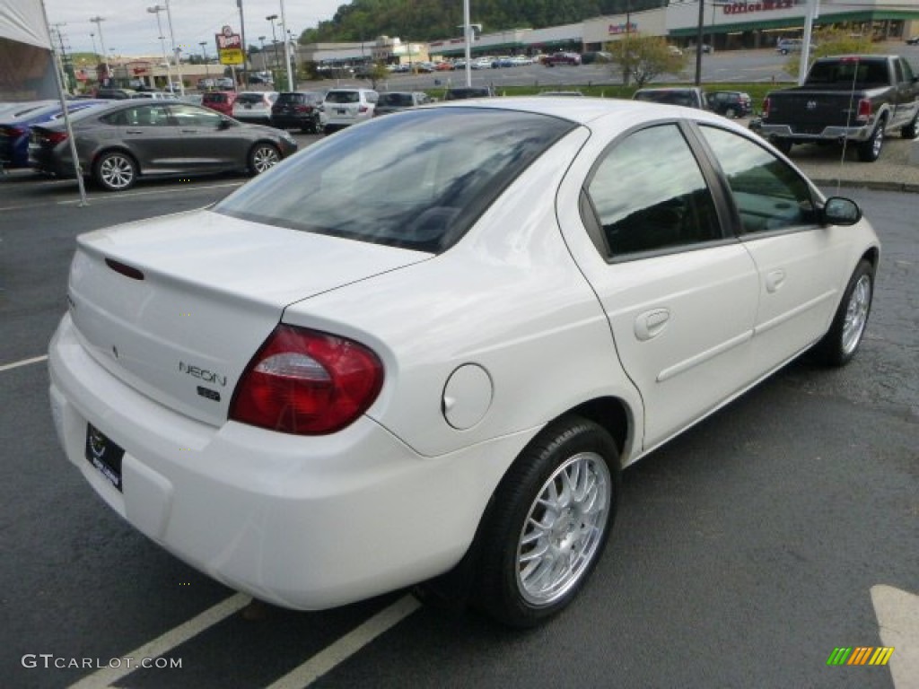 2004 Neon SXT - Stone White / Dark Slate Gray photo #5