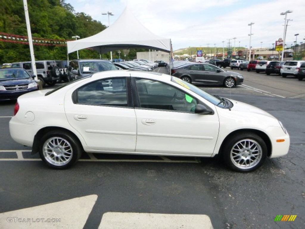 2004 Neon SXT - Stone White / Dark Slate Gray photo #6