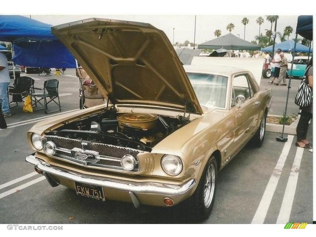 1965 Mustang Coupe - Honey Gold / Parchment photo #1