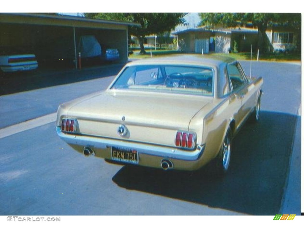 1965 Mustang Coupe - Honey Gold / Parchment photo #5