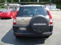 2005 Sahara Sand Metallic Honda CR-V EX 4WD  photo #3