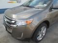 2014 Mineral Gray Ford Edge Limited  photo #2