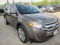 2014 Mineral Gray Ford Edge Limited  photo #4