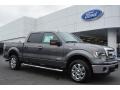 2014 Sterling Grey Ford F150 XLT SuperCrew  photo #1