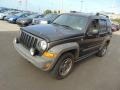 2005 Dark Khaki Pearl Jeep Liberty Renegade 4x4  photo #4