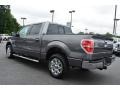 2014 Sterling Grey Ford F150 XLT SuperCrew  photo #24